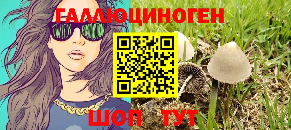 Псилоцибиновые грибы Magic Shrooms Воткинск